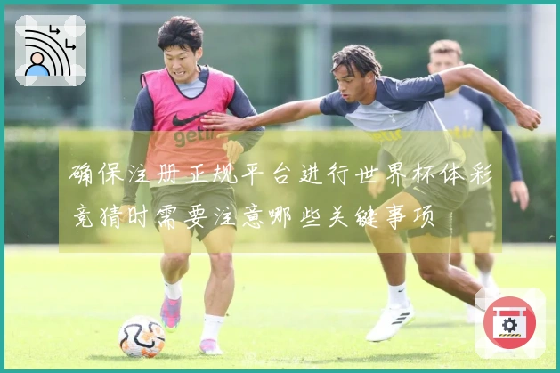 确保注册正规平台进行世界杯体彩竞猜时需要注意哪些关键事项