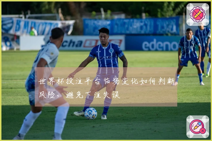 世界杯投注平台临场变化如何判断风险，避免下注失误