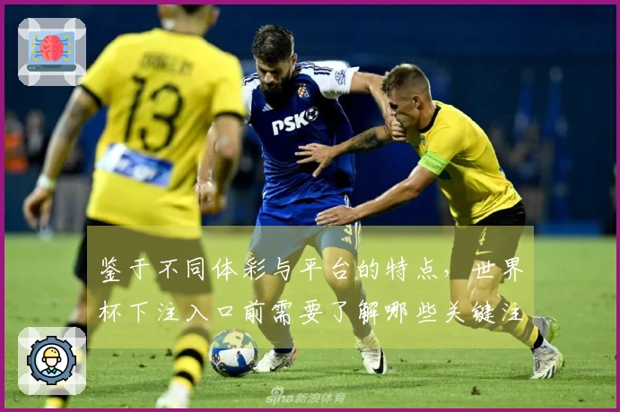 鉴于不同体彩与平台的特点，世界杯下注入口前需要了解哪些关键注意事项？